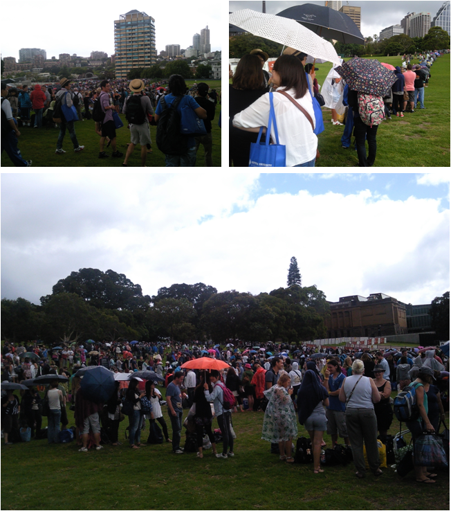 [시드니] 새해맞이 불꽃놀이 후기!! 후기 썸네일