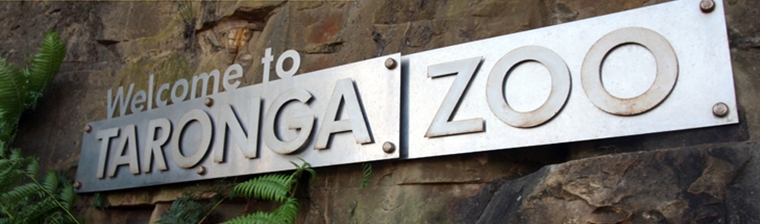 [시드니] 종로 유학원 타롱가 동물원에 가다!!!! 후기 썸네일