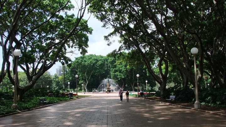 [시드니] 하이드파크 탐방 후기 썸네일