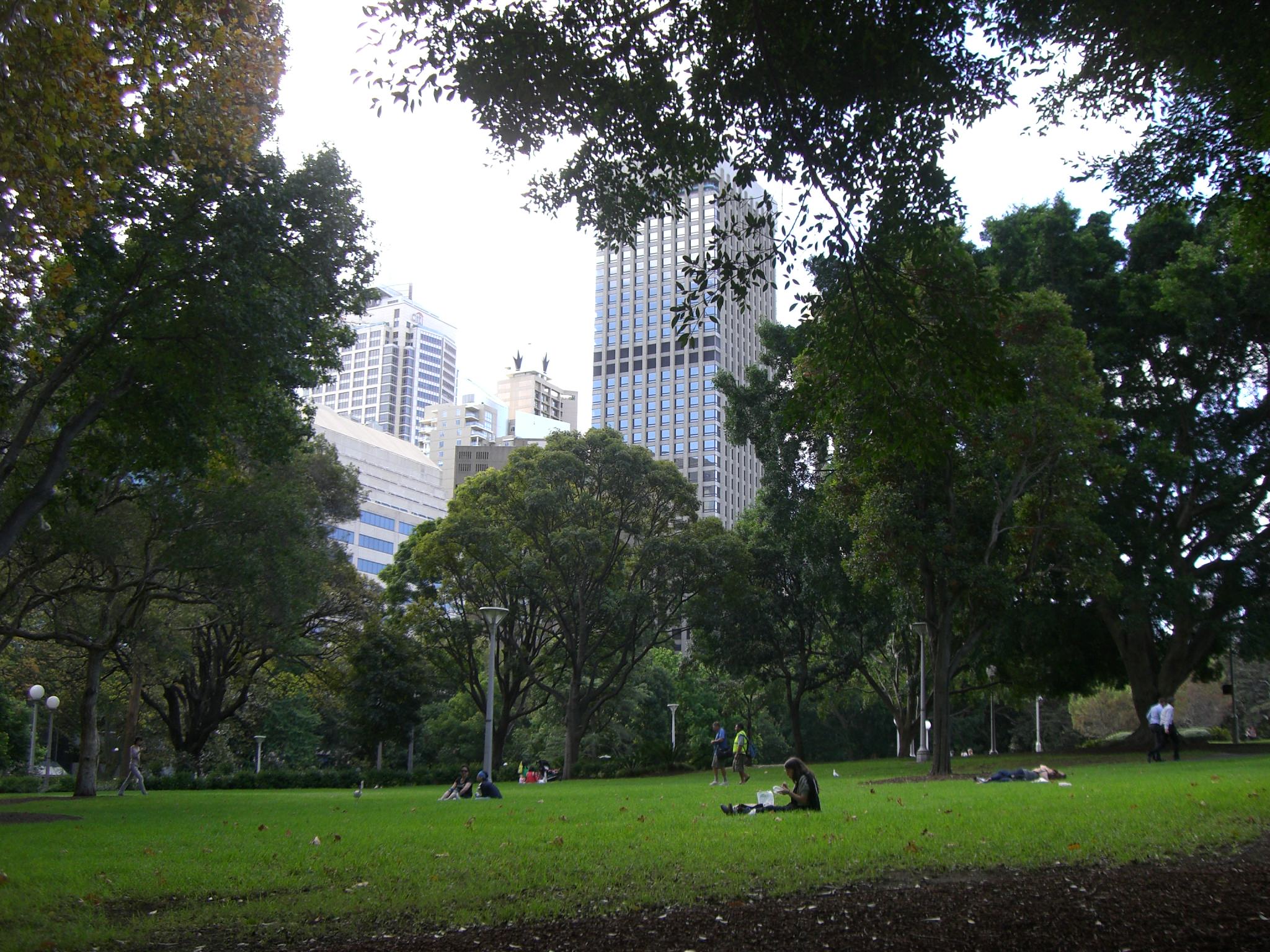 [시드니] 학교탐방기 - EMBASSY 후기 썸네일