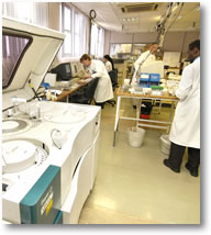 [시드니] 호주 대학교 임상병리학과  후기 썸네일