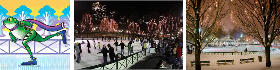 [보스턴] 11/21 Frog Pond 아이스 스케이트 장 오픈