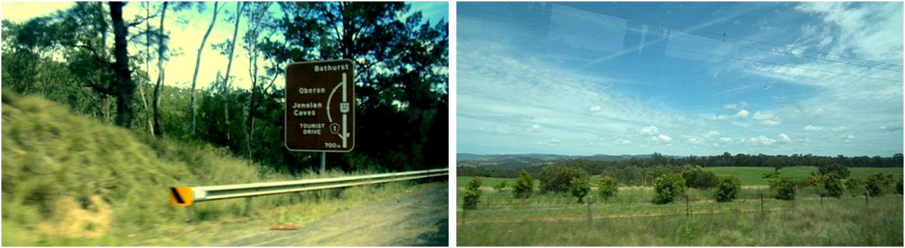 [시드니] 시드니에서 꼭 해봐야 할 DAY TOUR COURSE ②- 제놀란 동굴 후기 썸네일