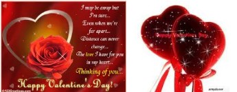 [샌프란시스코] 2/14 Valentine's Day