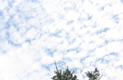 [밴쿠버] 9월 스콰미시 MT 후기 썸네일