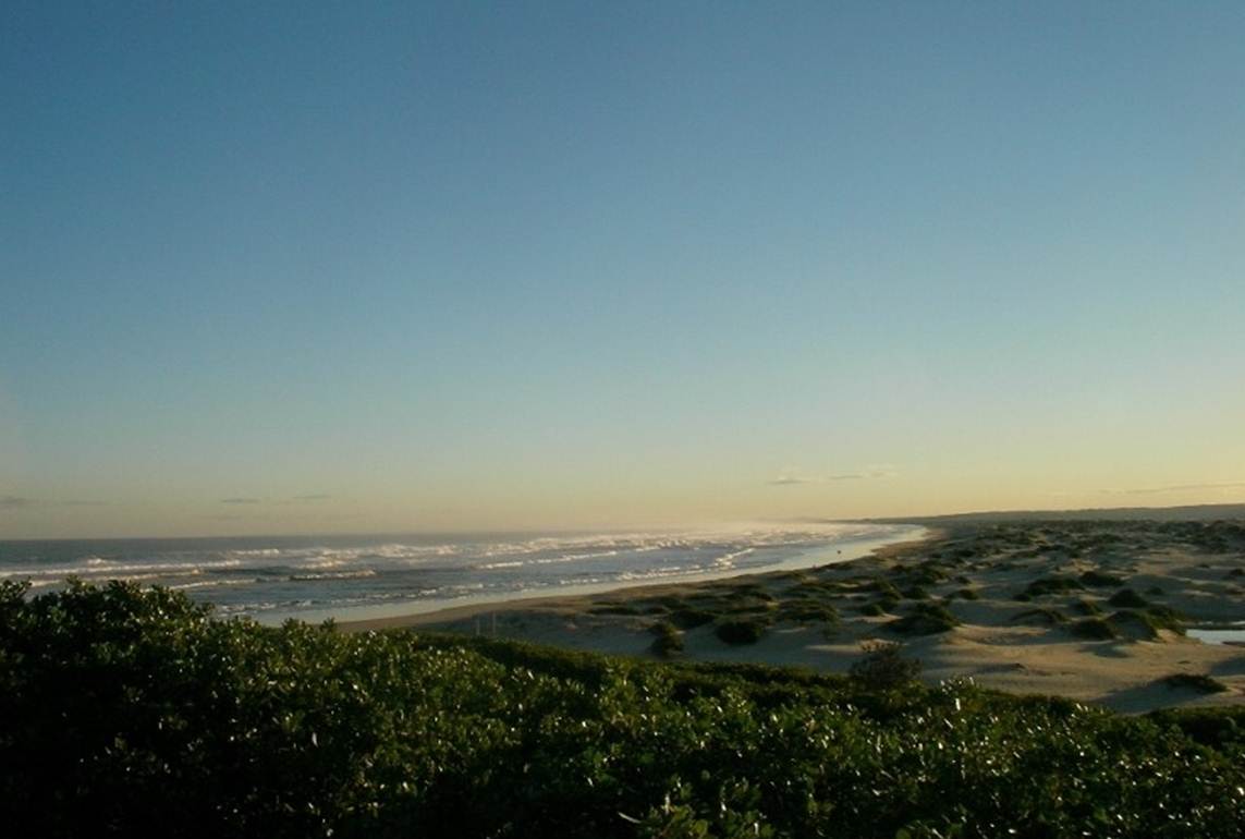 [시드니] 새해 맞이 이벤트 ① - 포트스테판 후기 썸네일