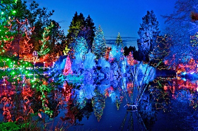 [밴쿠버] VanDusen Garden's Festival of Lights (2014-1-4까지) 후기 썸네일
