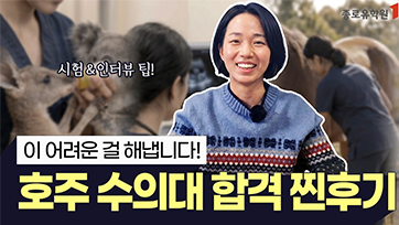 호주 수의대 유튜브 영상 썸네일