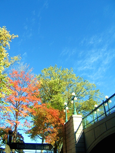 [토론토] 메이플 프렌치 몽트랑 블랑 학생 후기 후기 썸네일