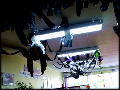 [토론토] 대박Tochong Halloween party  후기 썸네일