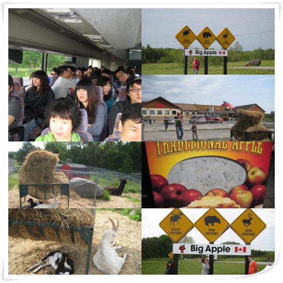 [토론토지사] 2박 3일 동부캐나다 여행  후기 썸네일