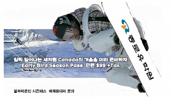 [토론토] 페스티벌 참가 및 스키시즌패스 구매 후기 썸네일