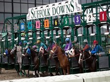 Suffolk Downs Racing and Food Truck Festival ? 승마 경주 후기 썸네일