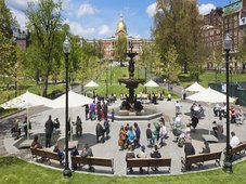 섬머 콘서트 at Brewer Plaza 후기 썸네일