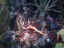 볼거리 많은 New England Aquarium 후기 썸네일