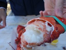 보스턴 근교 Rockport 여행 후기 썸네일