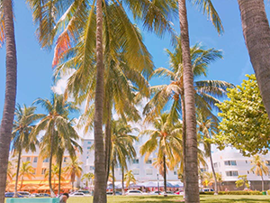 마이애미에서 힐링휴가 후기 썸네일