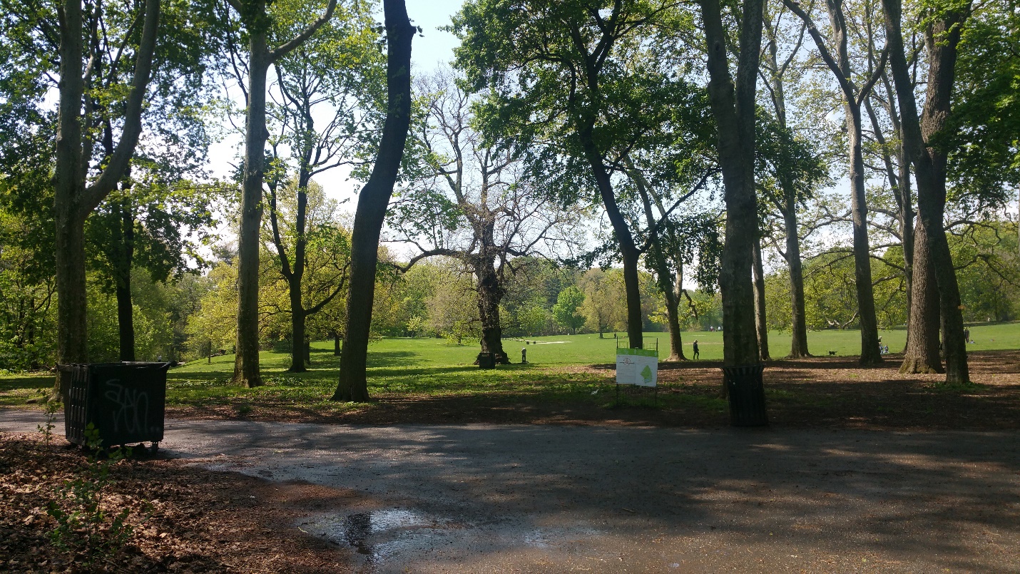 브루클린의 비밀장소 Prospect Park 후기 썸네일