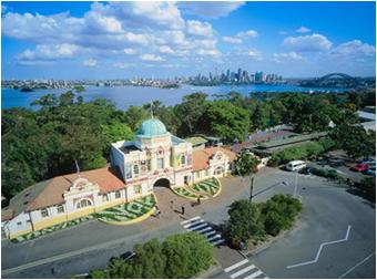 [시드니] Sculpture By The Sea (11/9 까지) ~~~ 후기 썸네일