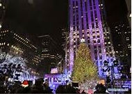 Rockefeller Center Christmas Tree |Lighting Ceremony! 후기 썸네일