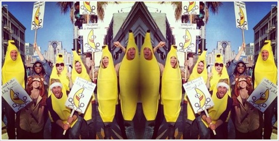 샌프란지사의 2월 Activity Calendar 후기 썸네일