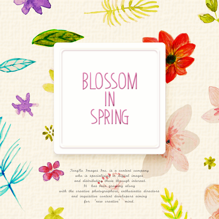 샌디에고지사의 3월 Activity Calendar 후기 썸네일