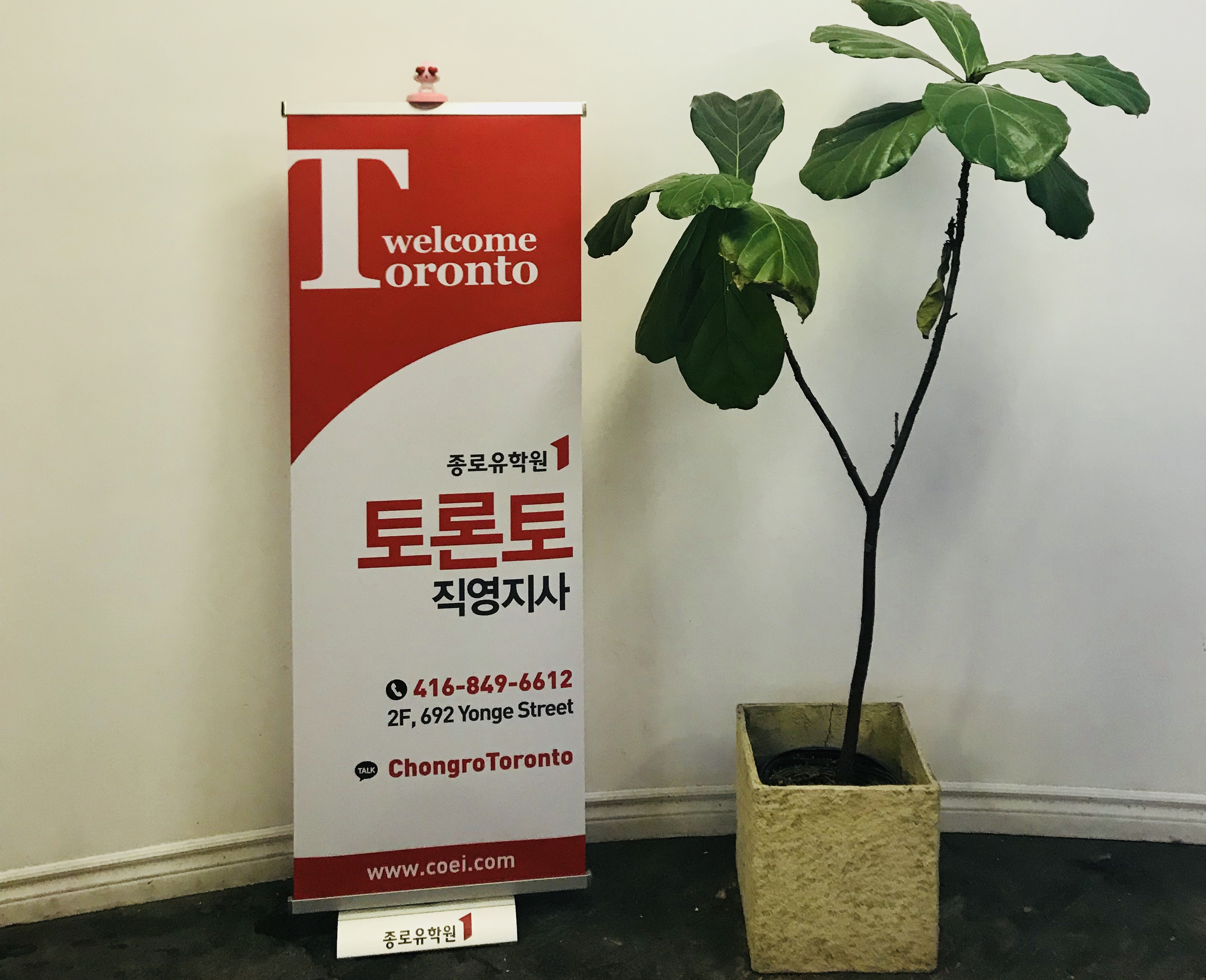 부족한 부분을 집중적으로 개선하는 1:1 튜터수업 후기 썸네일