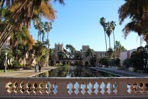 스포츠와 액티비티를 좋아한다면 샌디에고로! 후기 썸네일