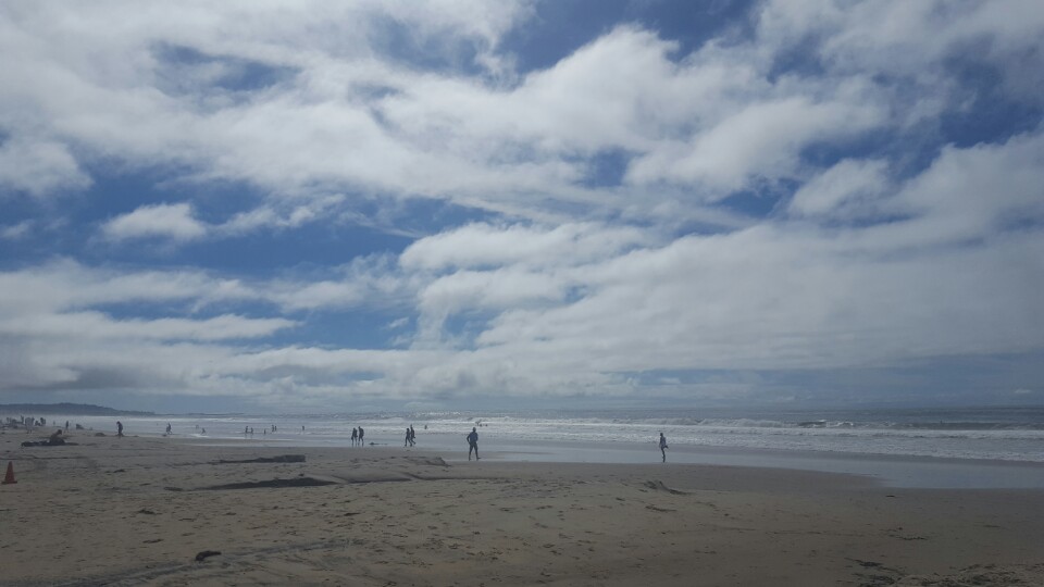 샌디에고의 바다와 쇼핑몰 후기 썸네일