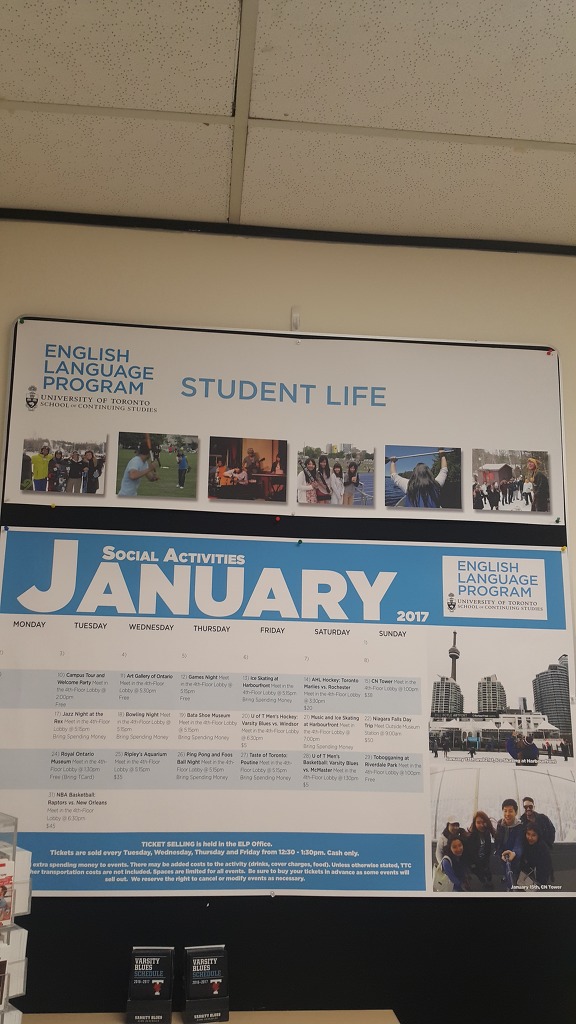 University of Toronto 에서의 Academic English 후기  - 학교생활편 후기 썸네일