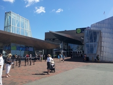 볼거리 많은 New England Aquarium 후기 썸네일