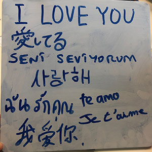 ILSC 어학원 소개