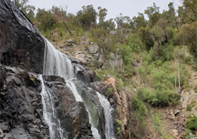 Grampians 그렘피언즈 투어