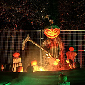 Pumpkins after dark에서 할로윈 즐기기