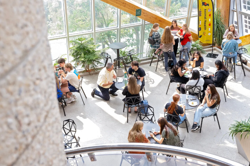 앨버타 대학교 캠퍼스 이미지