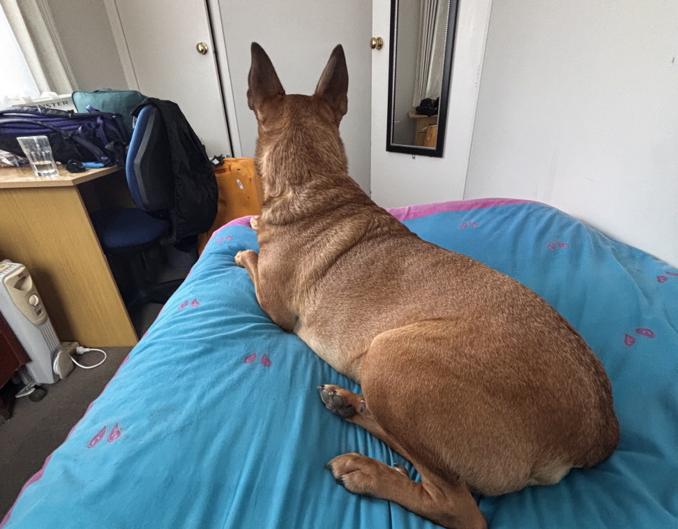 홈스테이 집 사진(JPG)