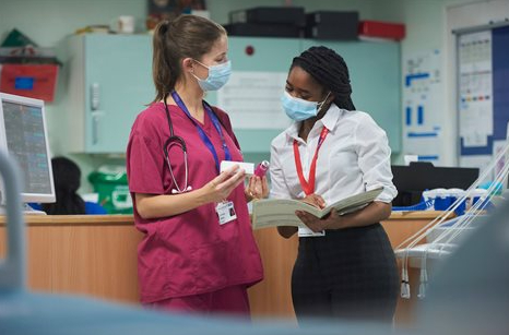 영국 브라이튼 대학교 약대