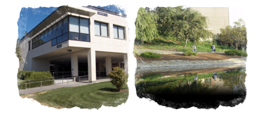 샌프란시스코 Diablo Valley College 수기