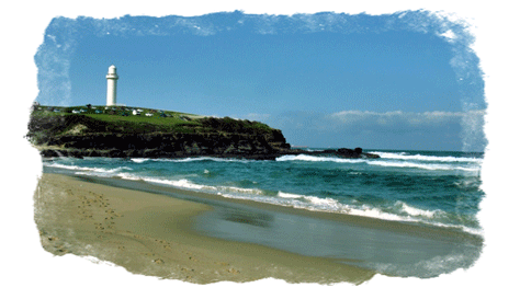 Wollongong, Kiama 후기 썸네일