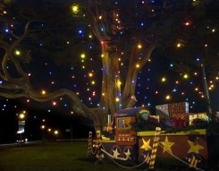 83rd Annual Holiday Tree Lighting | Golden Gate Park