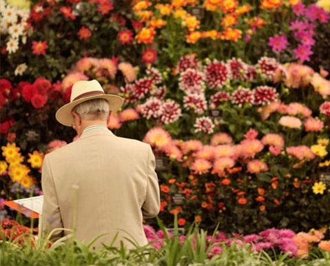 The Australian Garden Show Sydney 후기 썸네일
