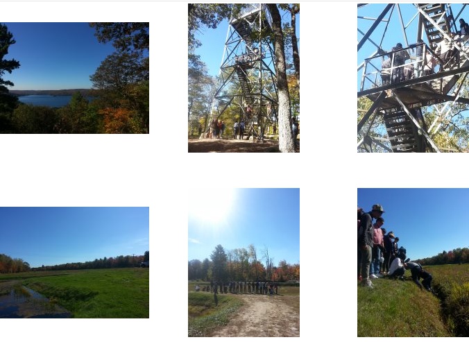 [토론토] 알곤퀸 무스코카 단풍여행 후기 ~~ 후기 썸네일