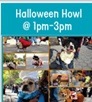 [뉴욕] 10/19 Holloween Howl ~