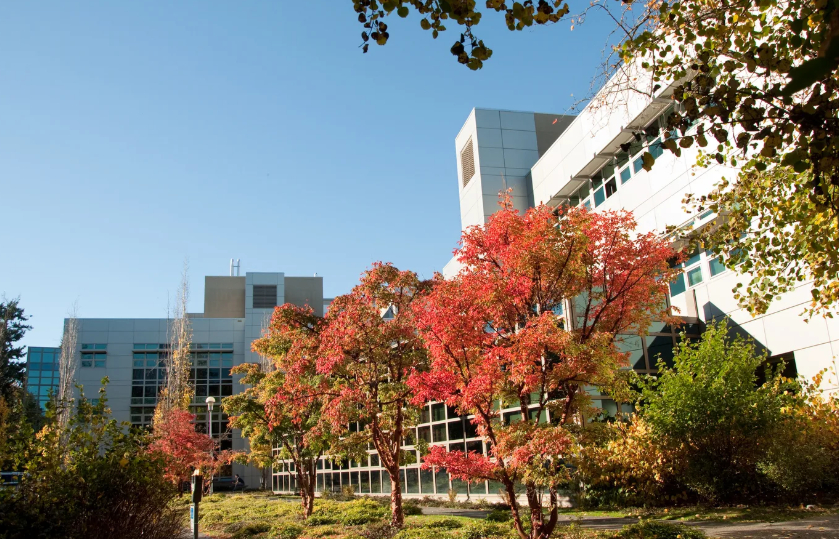 캐나다 빅토리아 대학교 캠퍼스 전경