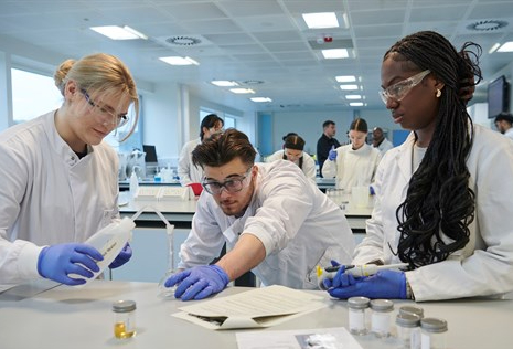 영국 브라이튼 대학교 약대 수업 모습